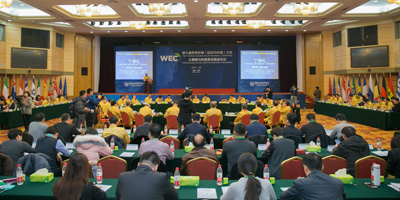 世界环保（经济与环境）大会