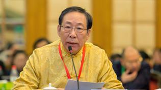 WEC圆桌讨论：顾逸东，全国人大环境与资源保护委员会委员