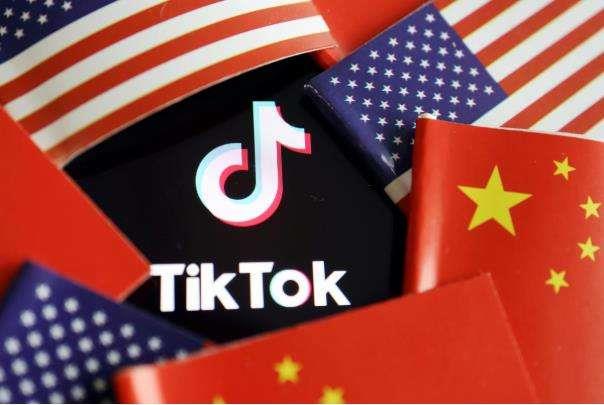 狐狸与刺猬：中国企业应对国际环境巨变的新全球化战略